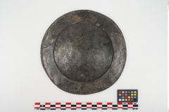 Foto von Bronzephalere (NHMW-PRAE-025405)